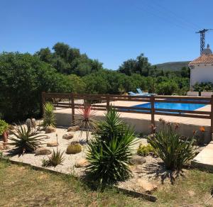 um jardim com plantas em frente a uma piscina em Casita in Javea with garden and pool - dog friendly! em Xàbia