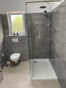 a bathroom with a shower and a toilet at Apartman Ivanica in Lukoran