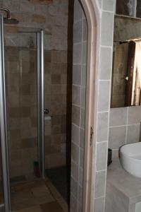a bathroom with a shower and a toilet and a sink at Trullo Bosco Libero Ostuni in Ostuni +26 photos