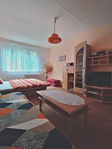 Palanda nebo palandy na pokoji v ubytování Apartmán v Srní