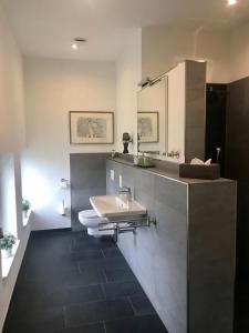 ein Badezimmer mit einem weißen WC und einem Waschbecken in der Unterkunft Weinlofts an der Mosel mit E10 Ladestation in Köwerich