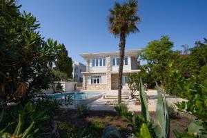 a house with a palm tree and a swimming pool at Villa Lucini Dvori in Novalja