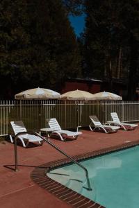 un grupo de sillas y sombrillas junto a una piscina en The Long Barn Lodge en Long Barn