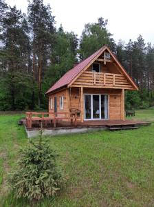 a log cabin in a field with a tree at Samosiejka - z widokiem na jezioro in Lidzbark