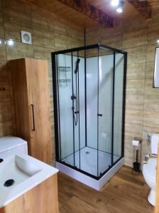 La salle de bains est pourvue d'une douche en verre et d'un lavabo. dans l'établissement Samosiejka - z widokiem na jezioro, à Lidzbark