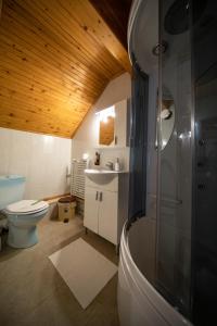 a bathroom with a shower and a toilet and a sink at Poiana Cristian in Poiana Brasov +119 photos