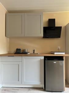 Kuchyň nebo kuchyňský kout v ubytování Pokoje Gościnne - Apartamenty MATI