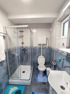 a bathroom with a shower and a toilet and a sink at Apartment Rosić in Perast +43 photos