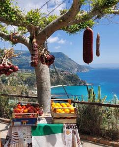 a fruit stand with fruits and vegetables on a tree at Il Giardino Di Capo Vaticano B&B and Apartments in Capo Vaticano