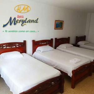 Postel nebo postele na pokoji v ubytování Hotel Meryland