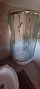 uma casa de banho com um chuveiro e um WC. em Apartmani Italo em Biograd na Moru