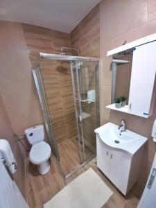 a bathroom with a shower and a toilet and a sink at Pool and Villa Splav Dunavac in Futog