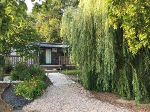 Un saule pleureur devant une maison dans l'établissement L Orée Du Bois, à Moncheux