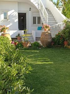 A garden outside Marina Villa