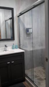 a bathroom with a shower and a sink and a mirror at Las Casitas on Magnolia Beach - Casita B in Port Lavaca