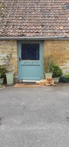 a dog laying on the ground in front of a garage at Higher Barton Guest room in Martock