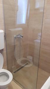 a bathroom with a shower with a toilet at Family apartment Krivokapic in Baošići