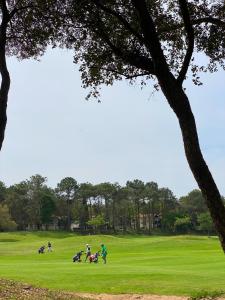- un groupe de personnes jouant au golf sur un parcours dans l'établissement Appartement du Golf Les Bastides piscine et océan, à Moliets-et-Maa