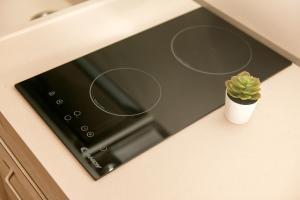 a black stove with a plant in a white pot on a counter at Le Dimore di Puglia - Palazzo Ladogana in Monopoli