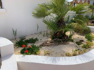 Vonkajšia záhrada v ubytovaní Villa Istriana