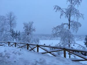 Cozy house in Järvsö with a stunning view að vetri til