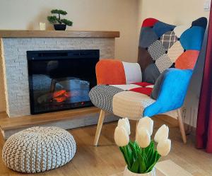 Posezení v ubytování Tara Apartmani Malešević - 3 lux