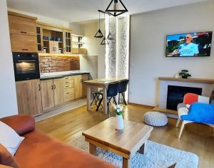 Kuchyň nebo kuchyňský kout v ubytování Tara Apartmani Malešević - 3 lux