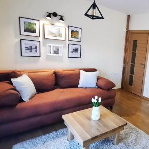 Posezení v ubytování Tara Apartmani Malešević - 3 lux