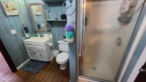 une salle de bains avec douche, toilettes et lavabo dans l'établissement Coral Beach Village Resort, à Utila 28 autres photos