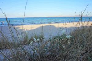 een zandstrand met wat gras en de oceaan bij Belle Maison proche plage in Muro