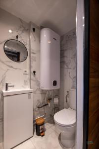 bagno con servizi igienici, lavandino e specchio di Naturel : Studio calme et agréable a Les Bordes