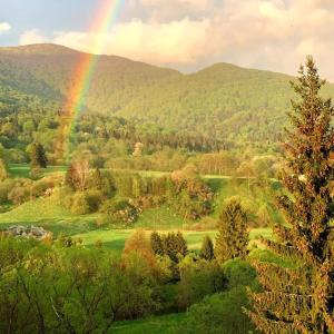 un arcobaleno in mezzo a un campo con alberi di Przystanek Smerek a Wetlina
