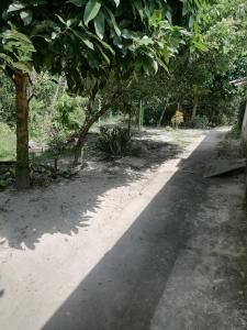 ścieżka w parku z drzewami i chodnikiem w obiekcie APARTA- Refugio El Retiro verde w mieście Leticia