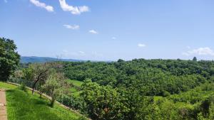 Φωτογραφία από το άλμπουμ του A 2 Passi dal Lago σε Grotte di Castro +46 φωτογραφίες