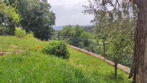 Φωτογραφία από το άλμπουμ του A 2 Passi dal Lago σε Grotte di Castro