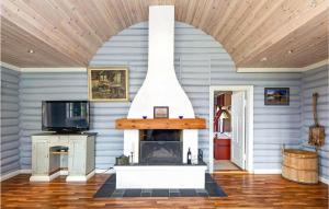 a living room with a fireplace and a tv at Nice Home In Hemsedal With Sauna in Hemsedal