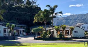 una pequeña ciudad con palmeras y casas en Anchor Lodge Motel en Coromandel Town