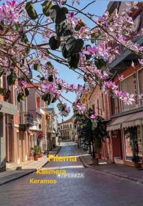 an empty street with pink flowers on a tree at kalimera in Preveza