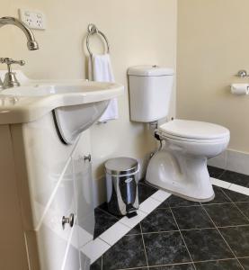 een badkamer met een wit toilet en een wastafel bij Chez Vous Split Level Balcony Spa Villa 1 in Pokolbin