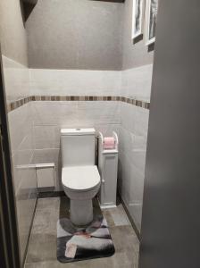 a bathroom with a toilet with a towel on the floor at Le balcon de la basse centre ville de Perpignan in Perpignan +13 photos