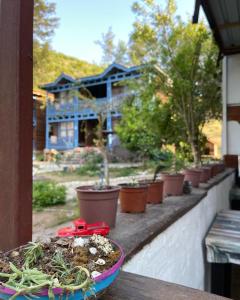 Imagen de la galería de Olympos Route 66 Pansiyon, en Olympos