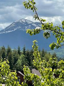 Utsikt mot fjell, enten fra landstedet eller fra et annet sted