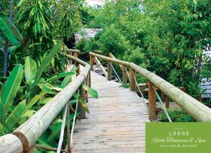 a wooden bridge in the middle of a garden at Lodge Roche Tamarin in La Possession
