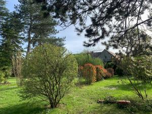 un jardín con árboles y una casa al fondo en Les Bocages, gîtes de charme en Val de Loire, piscine chauffée, en Monteaux