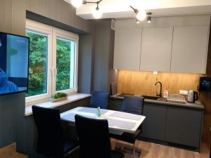 Kuchnia lub aneks kuchenny w obiekcie Kurort Kozubnik Apartament 33 Wellness &SPA