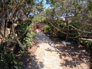 Um jardim em Casa La Pelosa