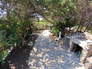 Um jardim em Casa La Pelosa