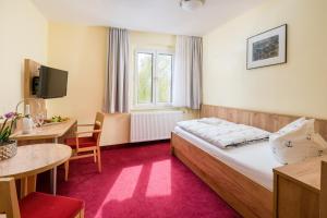 TV a/nebo společenská místnost v ubytování Hotel Seestern + 33 fotografií