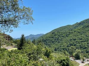uma vista para uma montanha com árvores e uma estrada em Villa Franca Nature Holidays em Rezzo