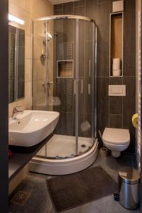 La salle de bains est pourvue d'une douche, d'un lavabo et de toilettes. dans l'établissement Apartment MOUNTAIN PARADISE Golte, à Mozirje